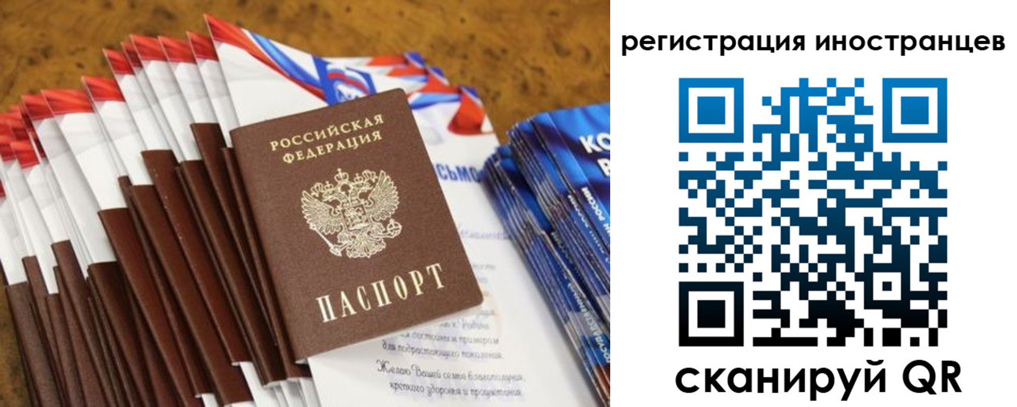 регистрация для школы в Курганской области